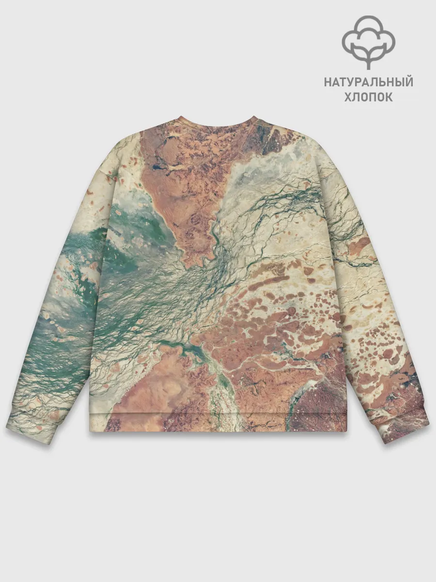 Мужской свитшот базовый / Снимок со СпуТника