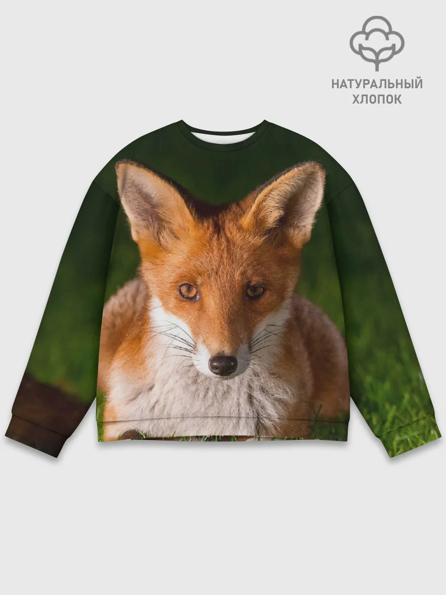 Мужской свитшот базовый / Лисица