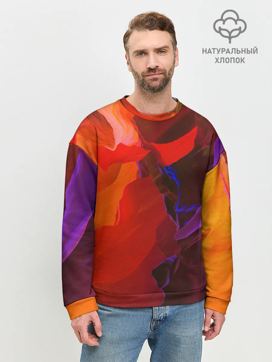 Мужской свитшот базовый / Что то необычНое