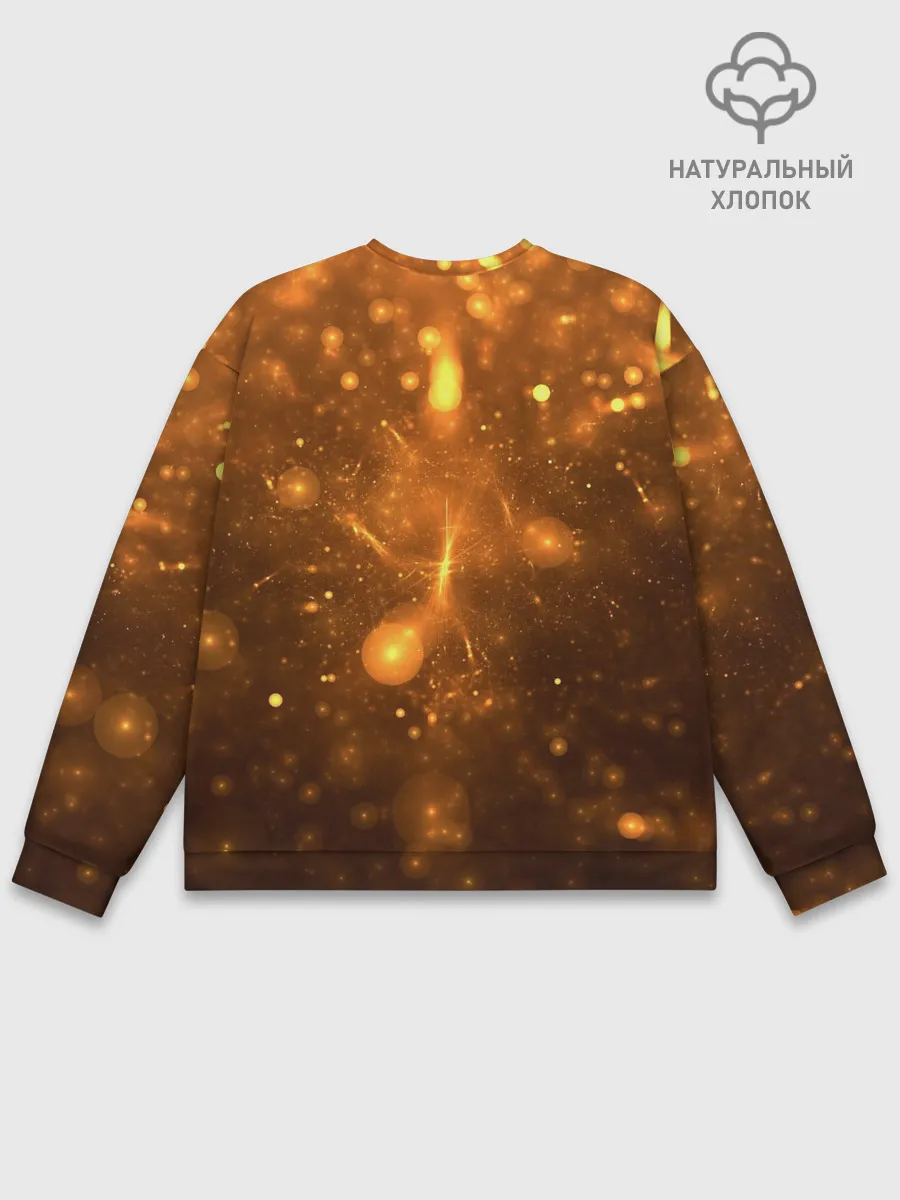 Мужской свитшот базовый / Fury Photographer