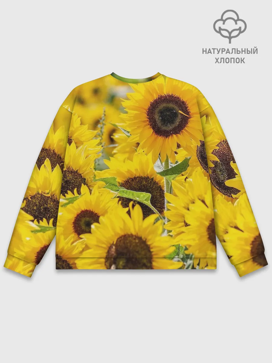 Мужской свитшот базовый / Лето