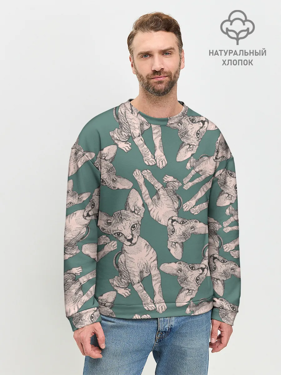 Мужской свитшот базовый / Котёнок сфинкса