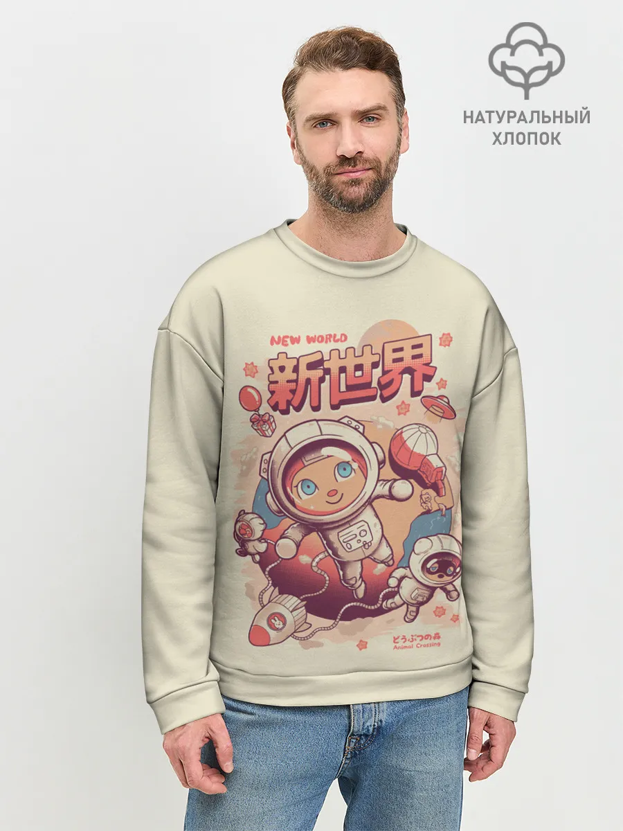 Мужской свитшот базовый / Space Crossing