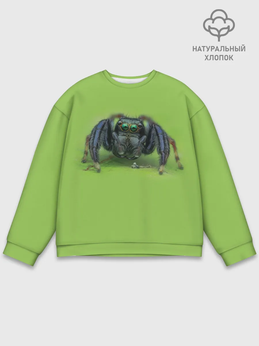 Мужской свитшот базовый / ПАУК С ГЛАЗКАМИ