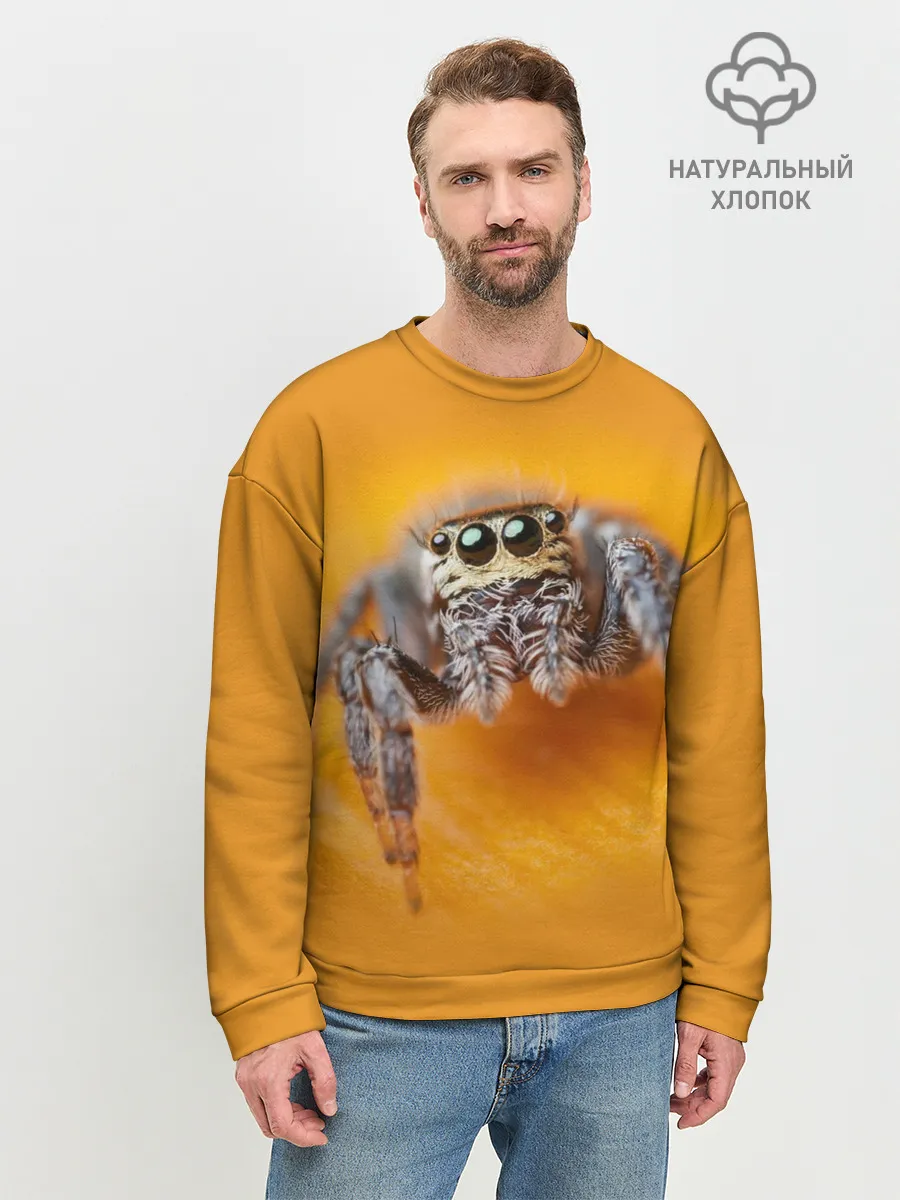 Мужской свитшот базовый / ПАУК / SPIDER