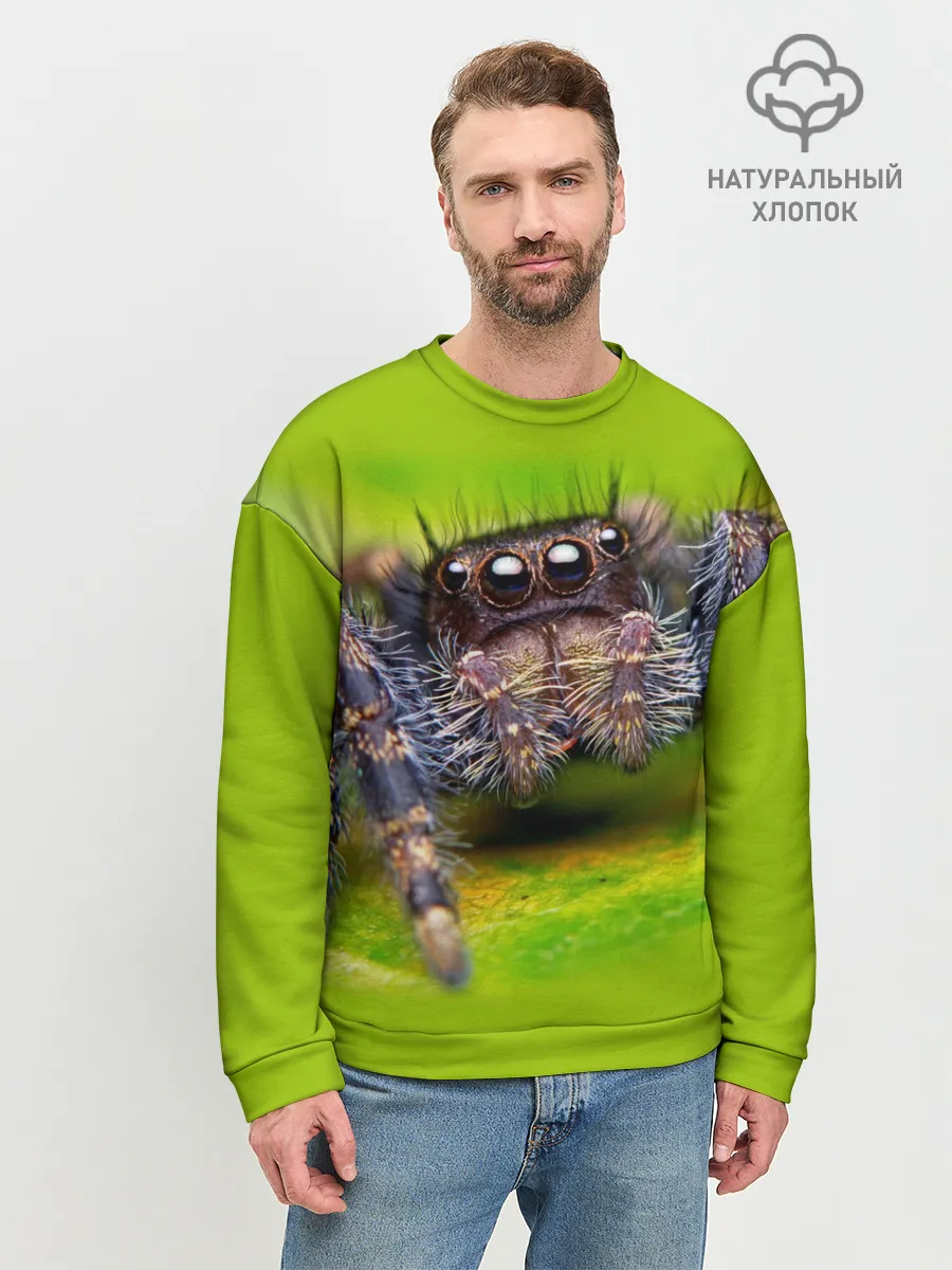 Мужской свитшот базовый / ПАУК МАКРО