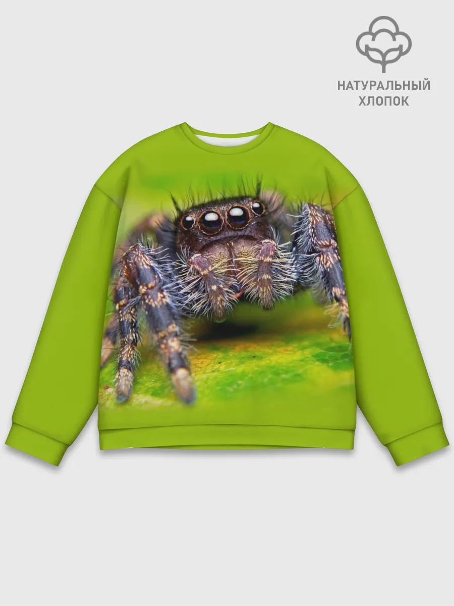 Мужской свитшот базовый / ПАУК МАКРО