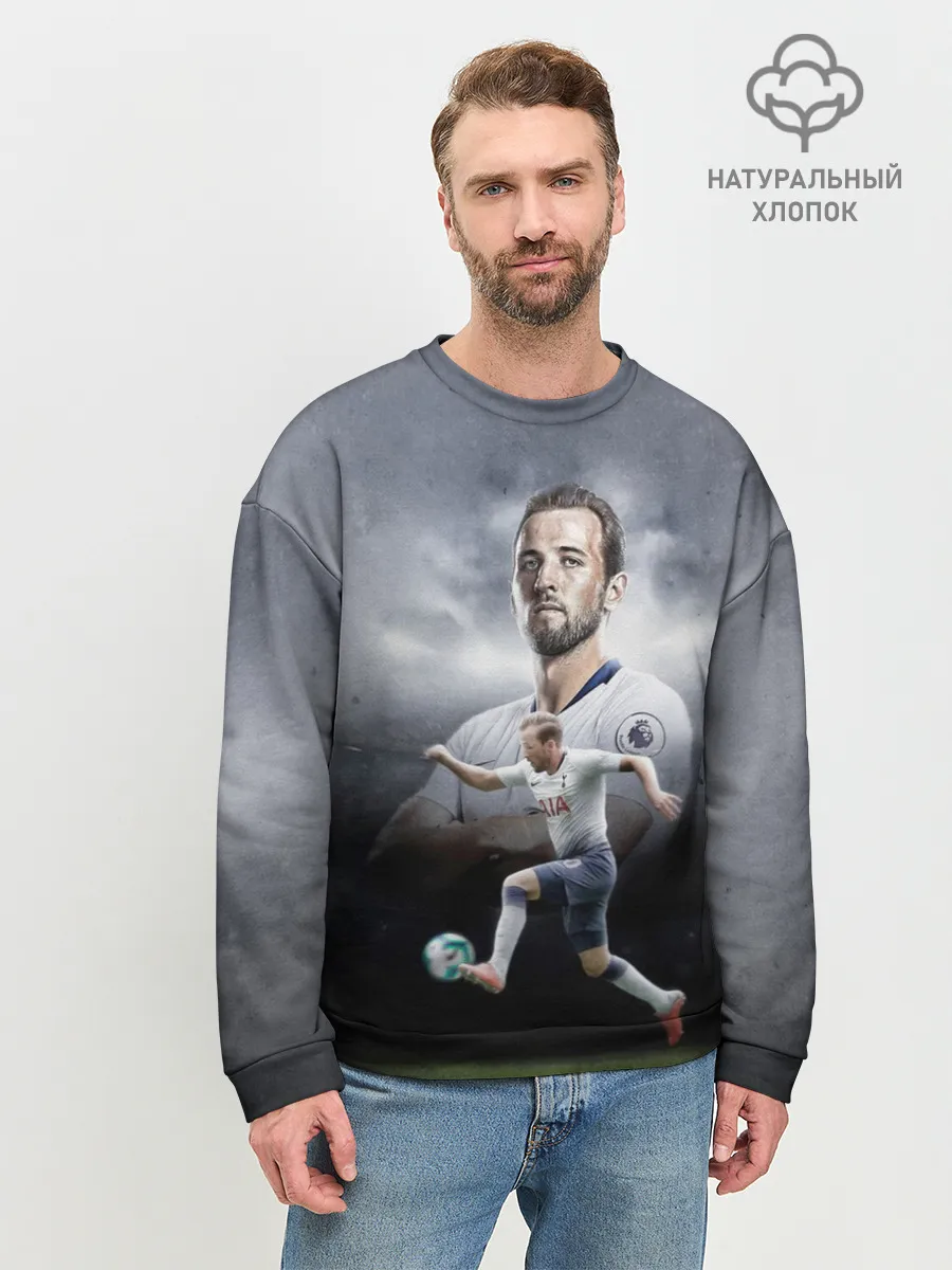 Мужской свитшот базовый / Kane Harry