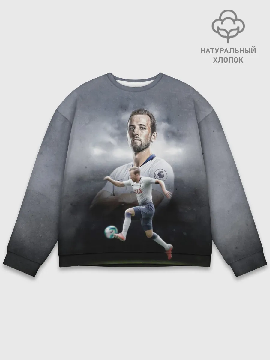 Мужской свитшот базовый / Kane Harry