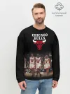 Мужской свитшот базовый / CHICAGO BULLS [3]