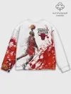 Мужской свитшот базовый / CHICAGO BULLS [9]