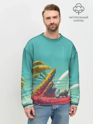 Мужской свитшот базовый / No Man Sky