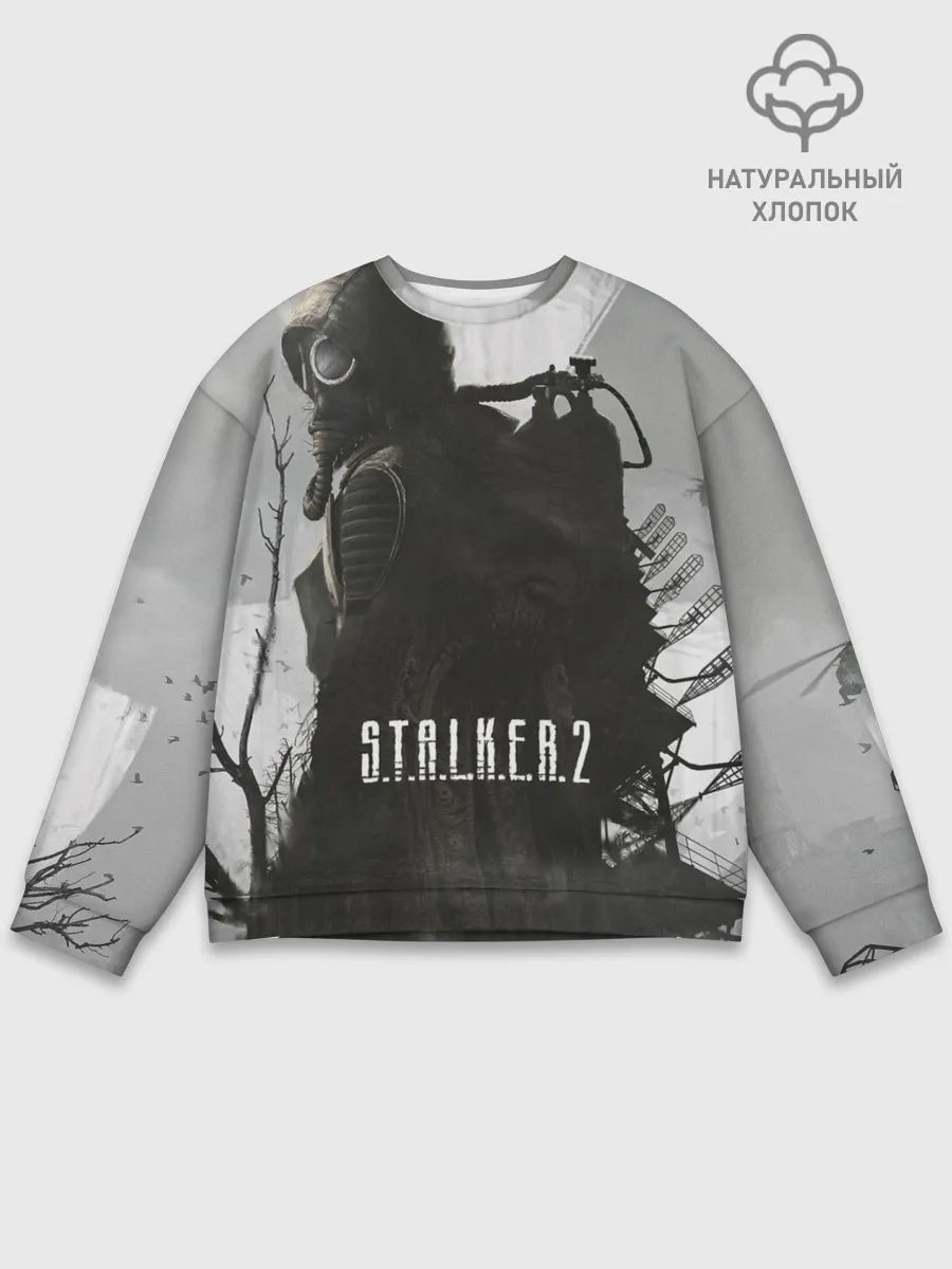 Мужской свитшот базовый / STALKER 2