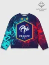 Мужской свитшот базовый / Сборная Франции