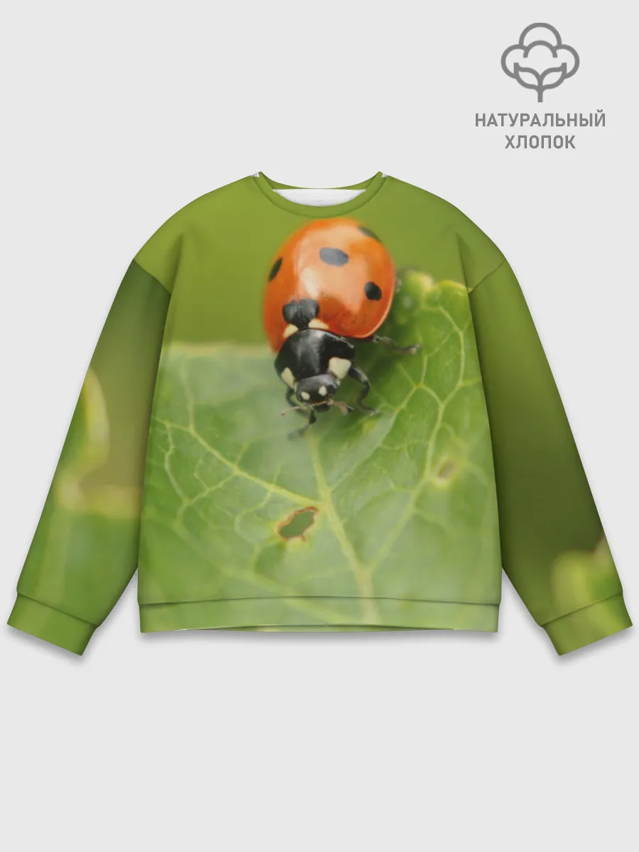 Мужской свитшот базовый / Божья коровка