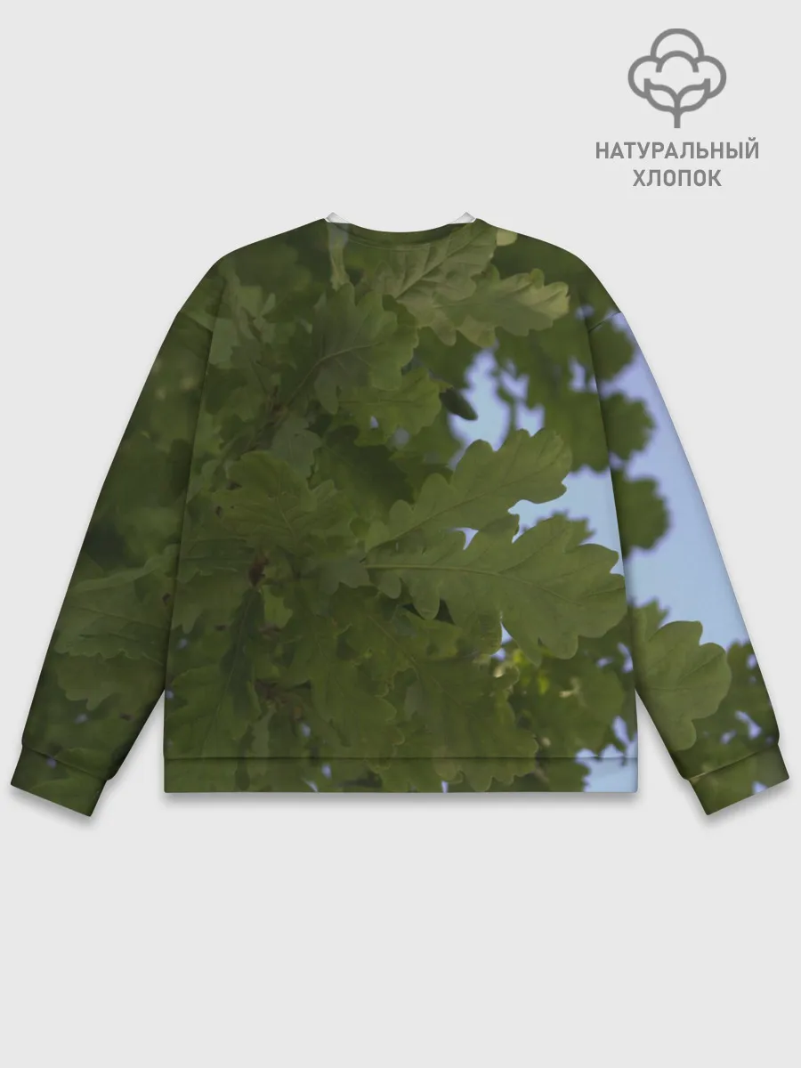 Мужской свитшот базовый / Летние дубы