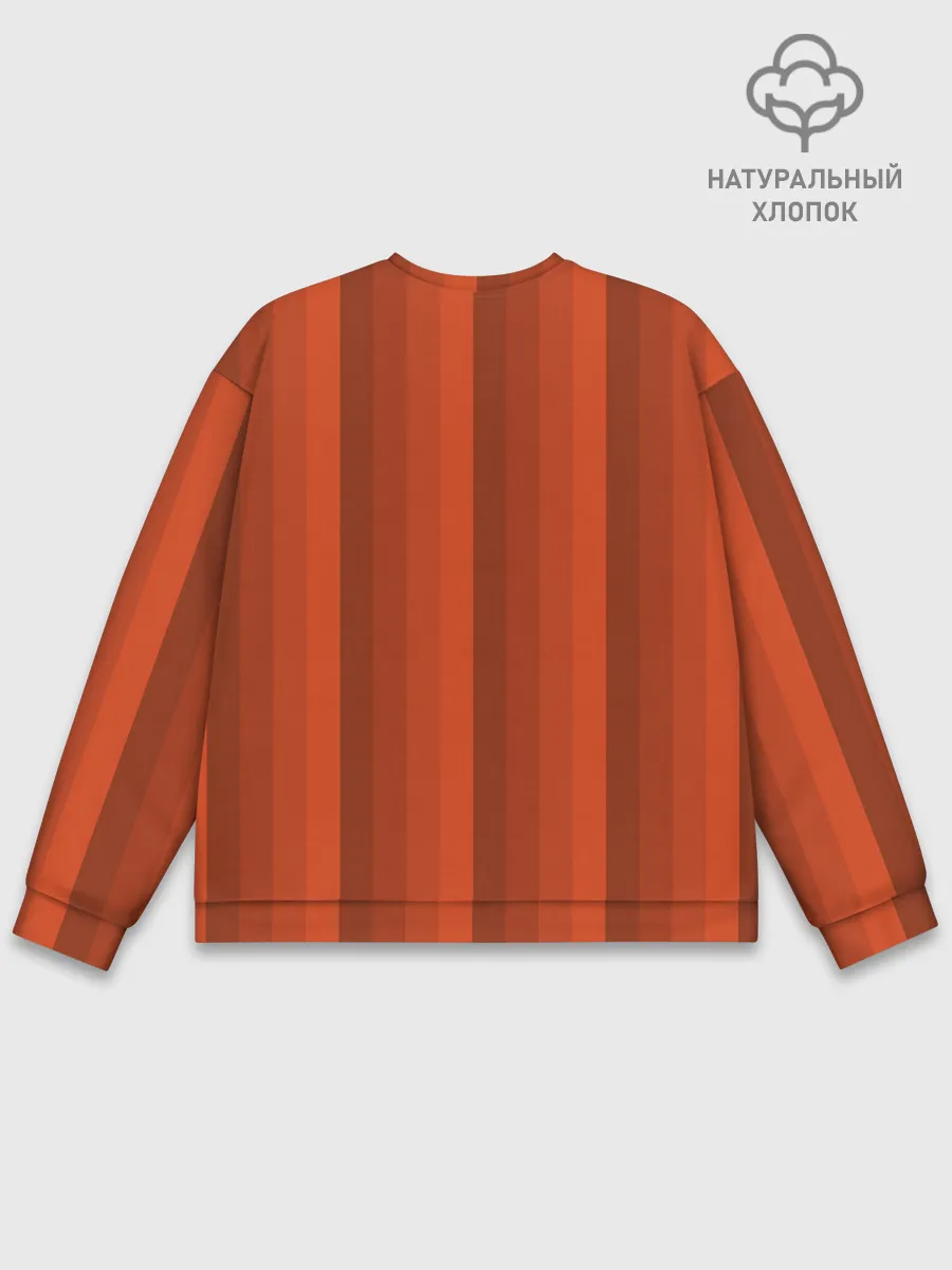 Мужской свитшот базовый / TNT