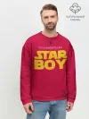 Мужской свитшот базовый / The Weeknd - Star Boy