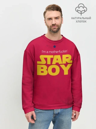 Мужской свитшот базовый / The Weeknd - Star Boy