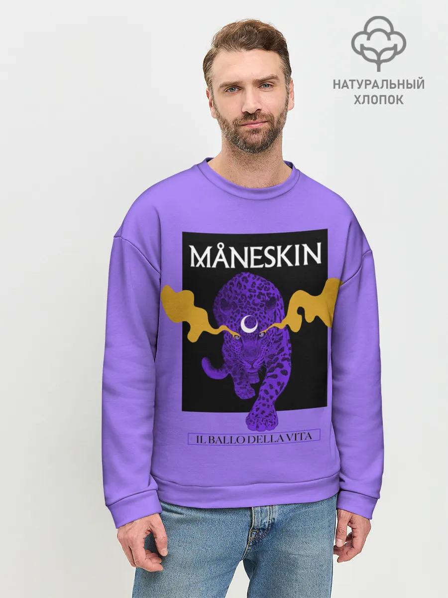 Мужской свитшот базовый / Maneskin