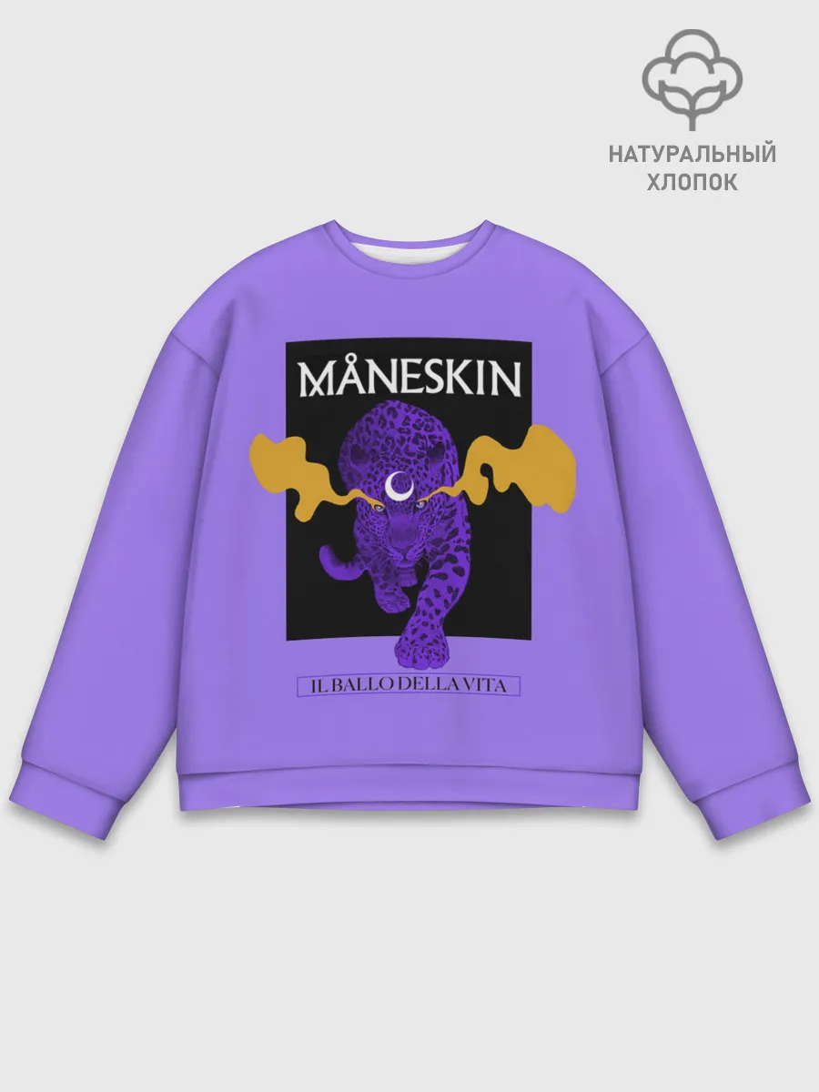 Мужской свитшот базовый / Maneskin