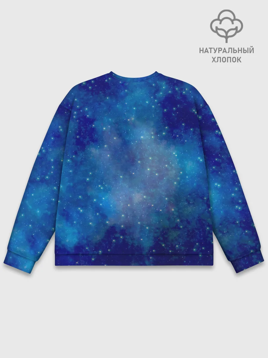 Мужской свитшот базовый / Властелины вселенной, герои