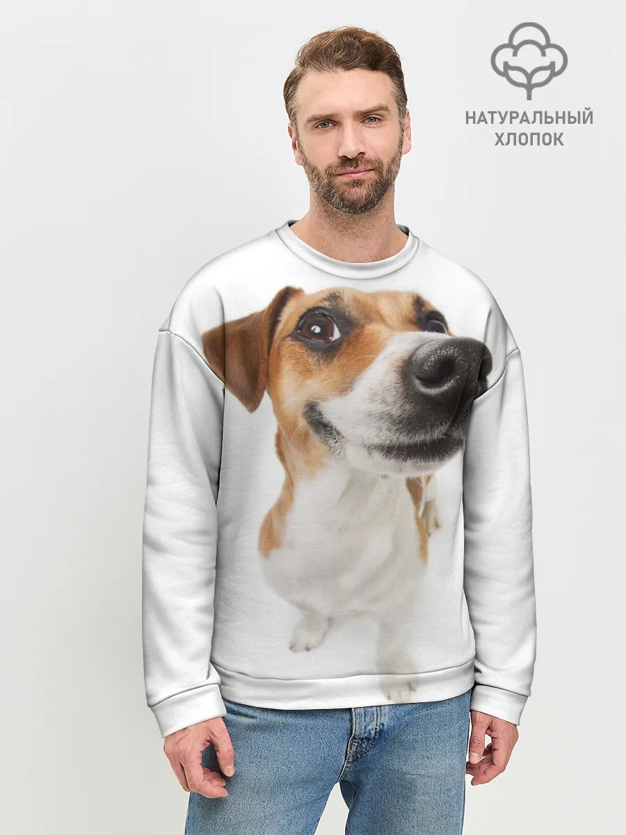 Мужской свитшот базовый / Собака