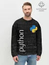 Мужской свитшот базовый / PYTHON / ПАЙТОН