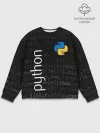 Мужской свитшот базовый / PYTHON / ПАЙТОН
