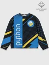 Мужской свитшот базовый / PYTHON / ПАЙТОН