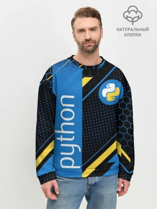 Мужской свитшот базовый / PYTHON / ПАЙТОН