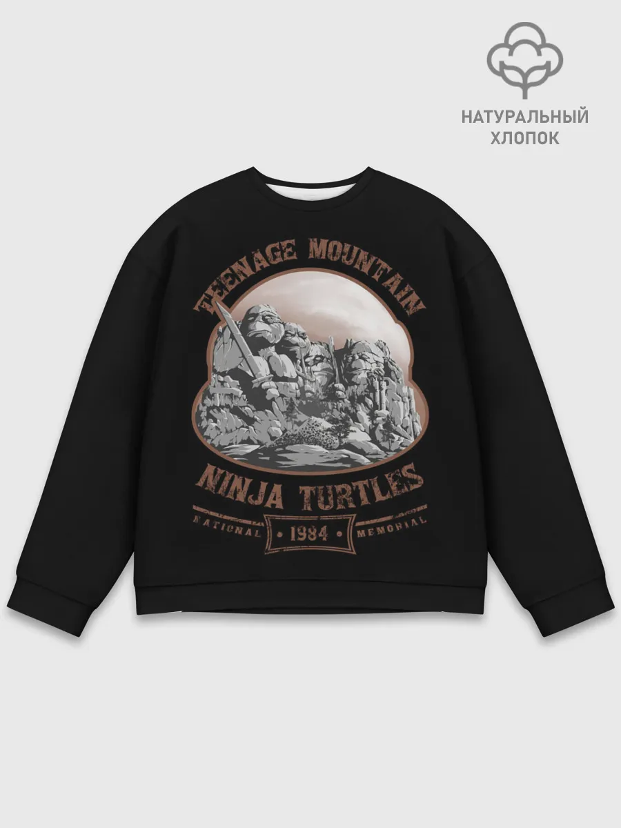 Мужской свитшот базовый / Монумент Черепашкам