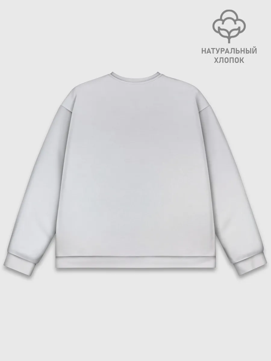 Мужской свитшот базовый / Maneskin