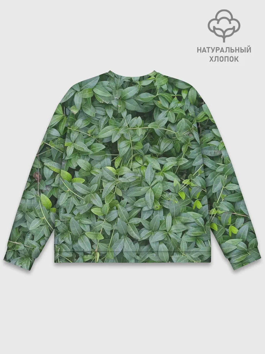 Мужской свитшот базовый / Барвинок