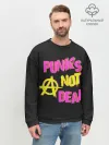 Мужской свитшот базовый / Панк анархия