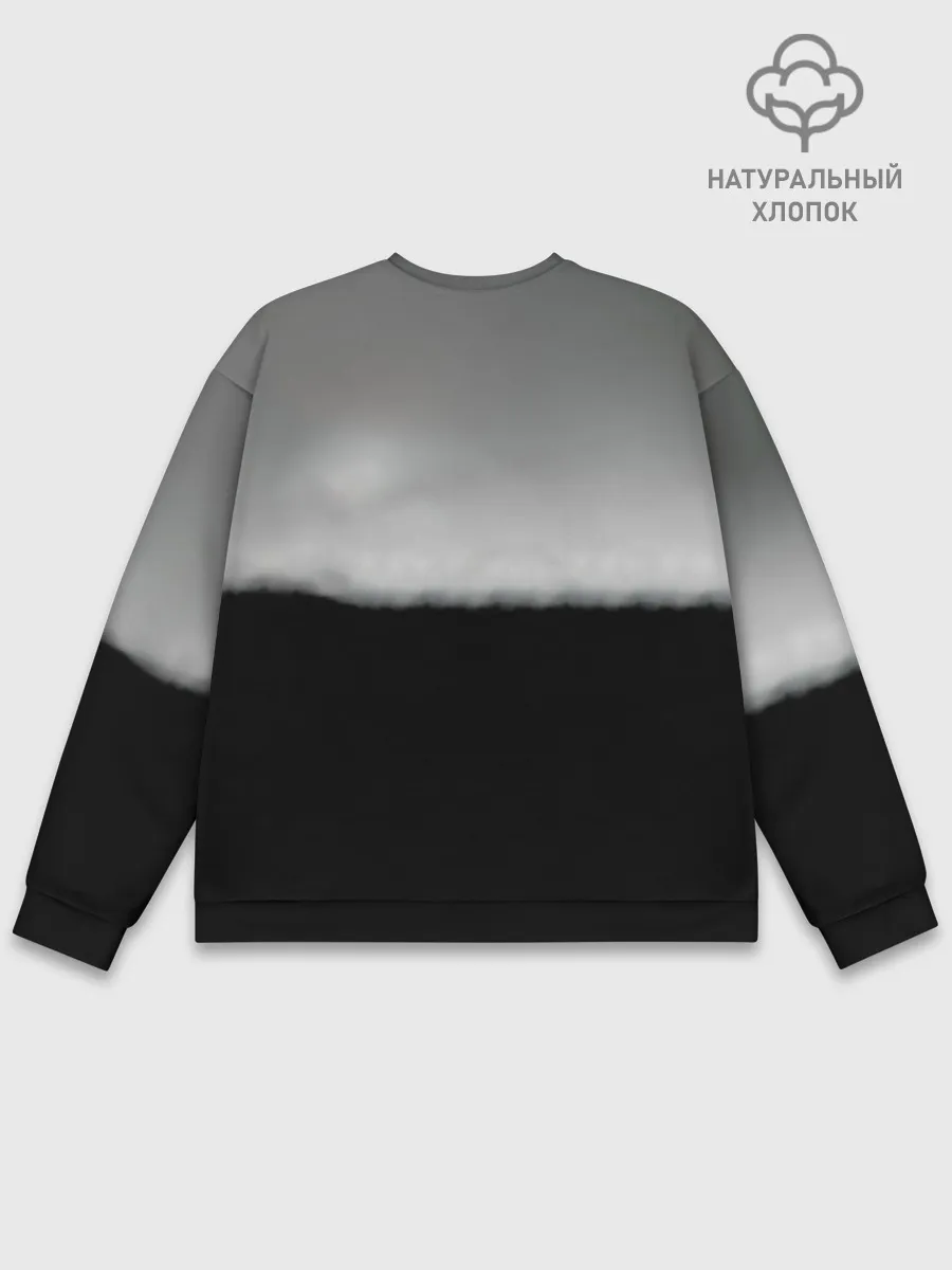 Мужской свитшот базовый / Thirty Seconds to Mars - Edge of the Earth