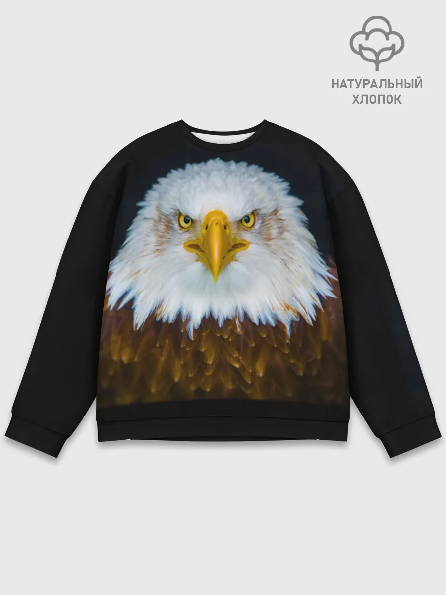 Мужской свитшот базовый / Белоголовый орлан