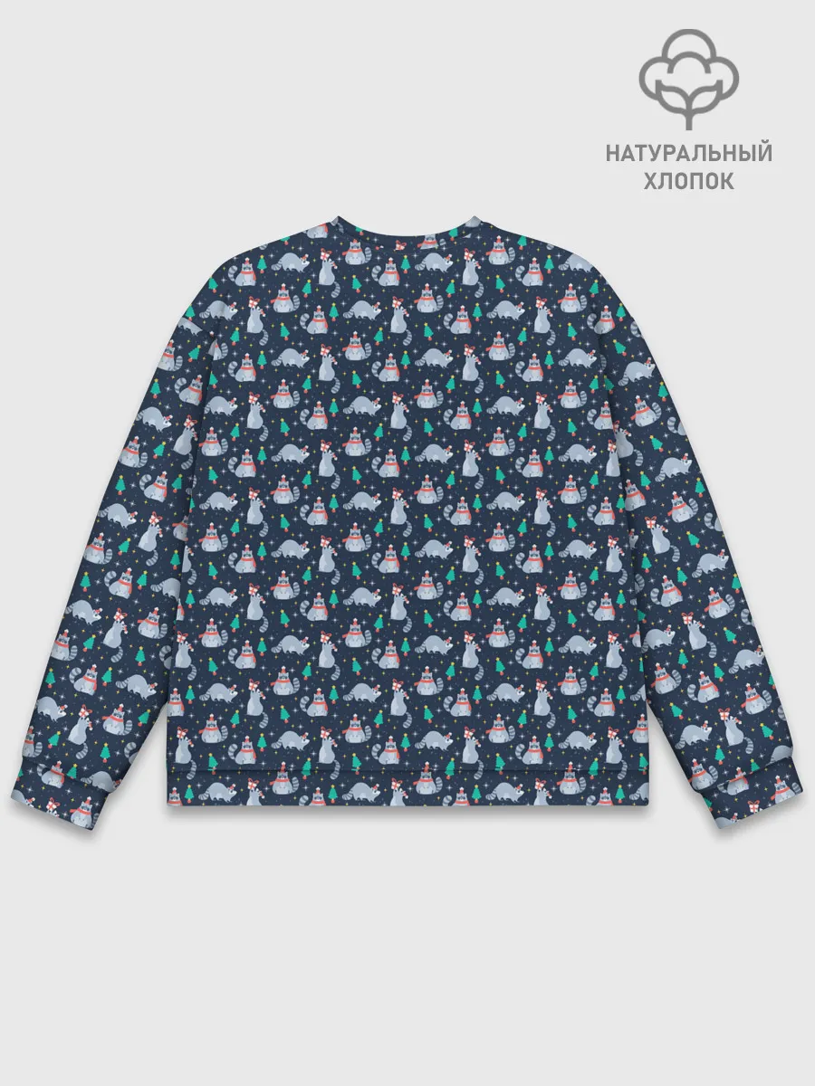 Мужской свитшот базовый / НОВОГОДНИЙ ЕНОТ | COON