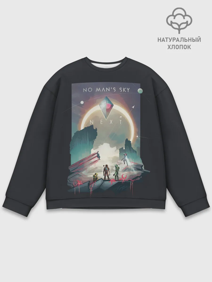 Мужской свитшот базовый / NMS Next