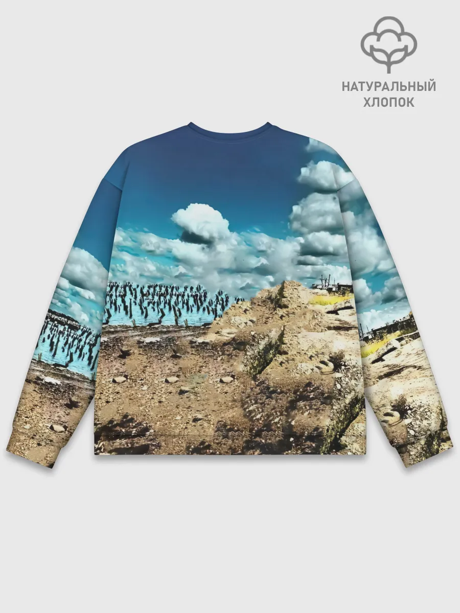 Мужской свитшот базовый / Мумий Тролль Владивосток 2000