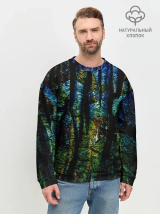 Мужской свитшот базовый / Разноцветная гора