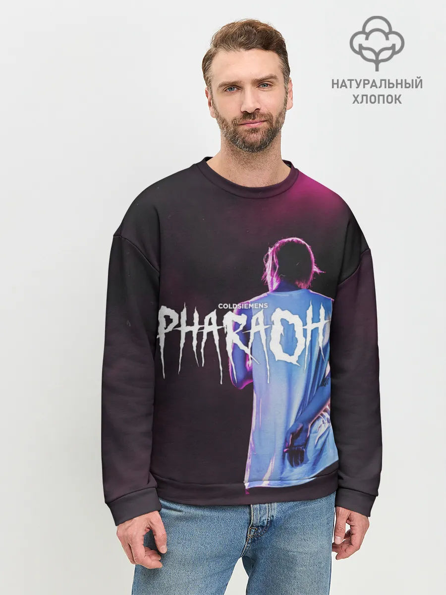Мужской свитшот базовый / COLDSIEMENS