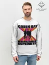 Мужской свитшот базовый / International Superhits! Green Day