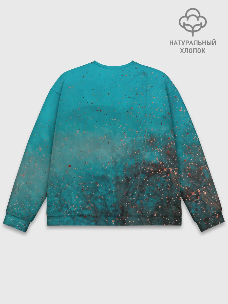 Мужской свитшот базовый / Препятствия на пути к цели