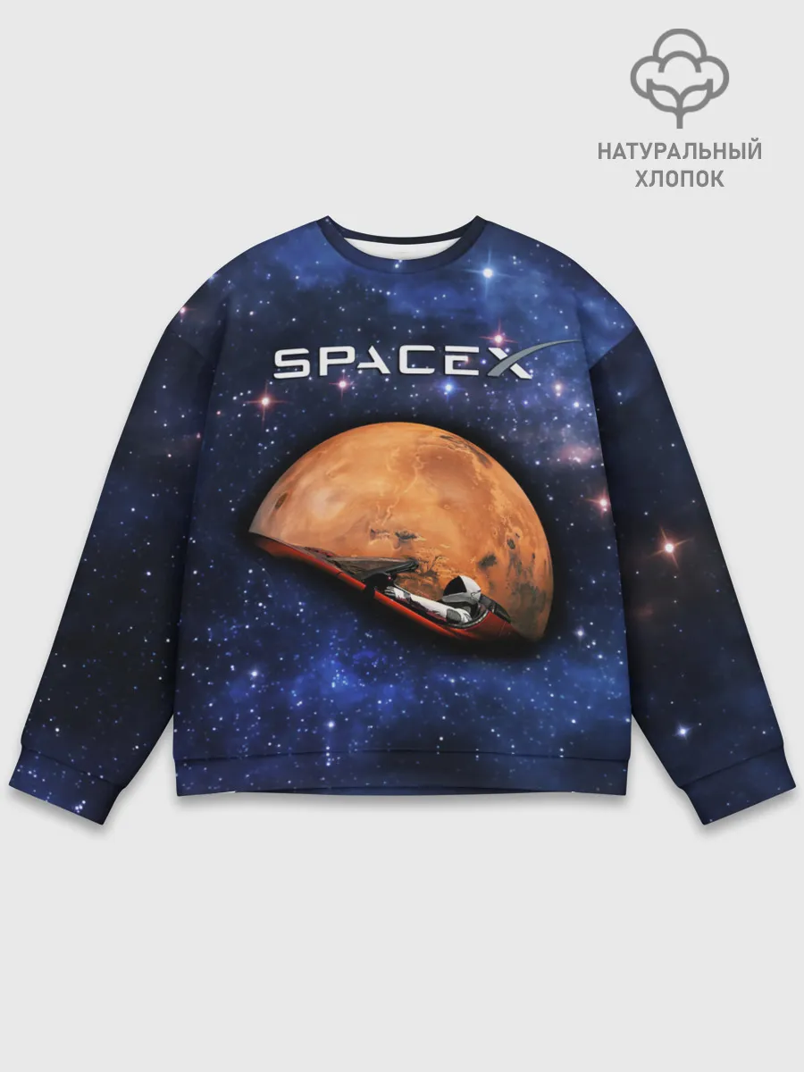 Мужской свитшот базовый / Space X