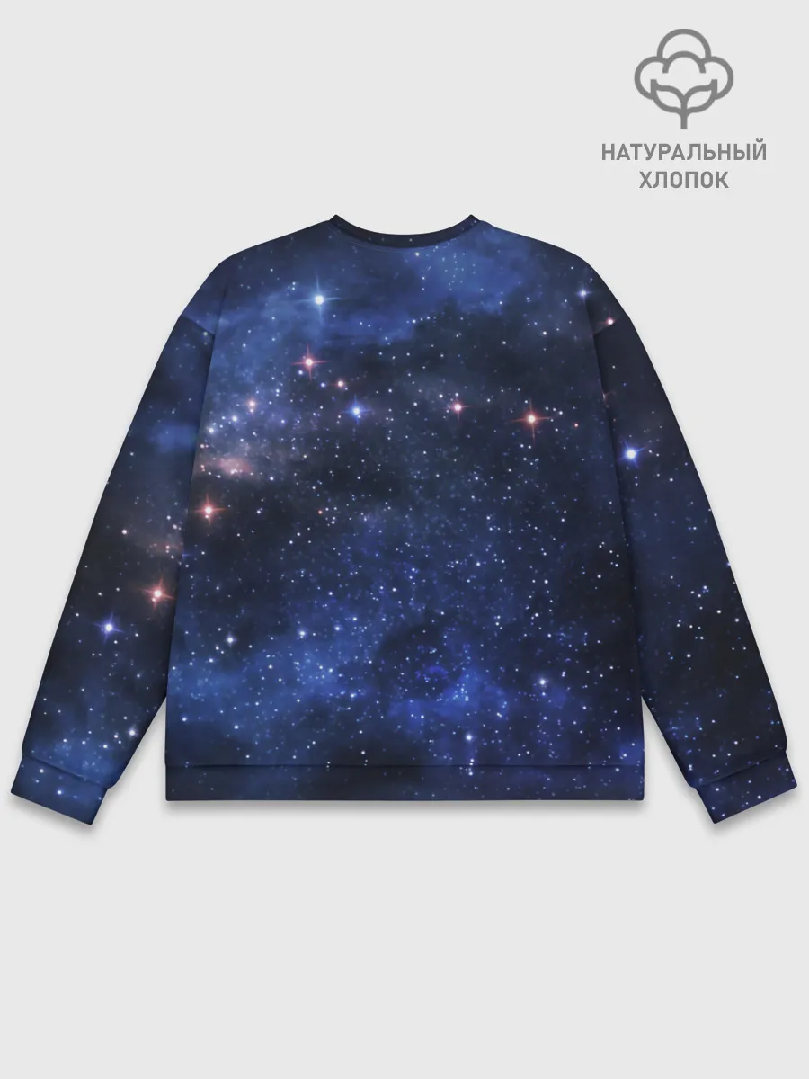 Мужской свитшот базовый / Space X
