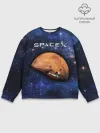 Мужской свитшот базовый / Space X