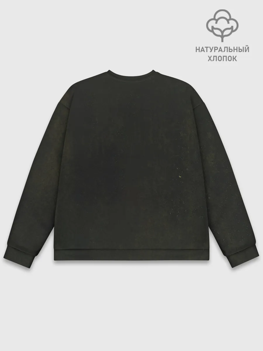 Мужской свитшот базовый / Songs from the Laundry Room - Foo Fighters