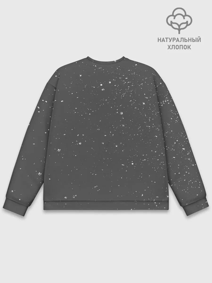 Мужской свитшот базовый / Foo Fighters 1995 FF