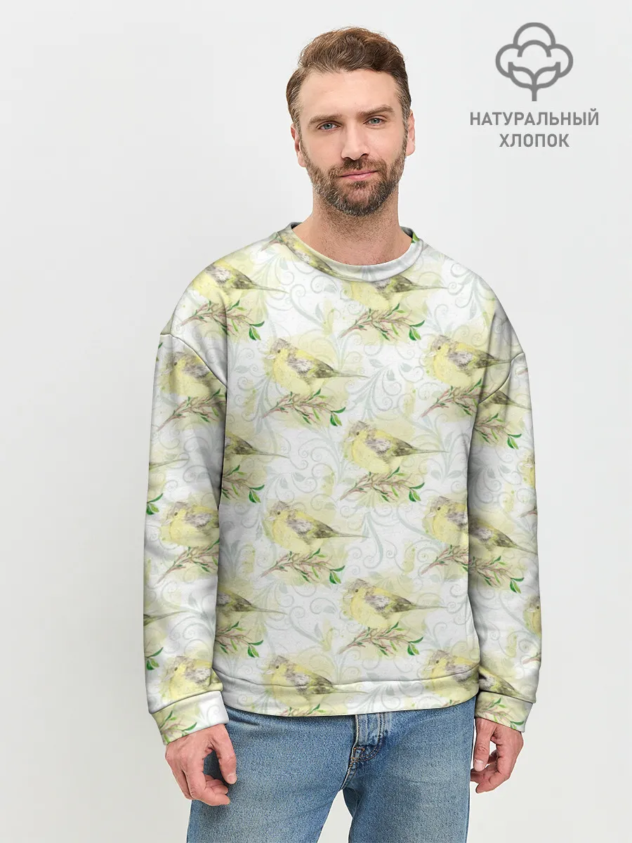 Мужской свитшот базовый / Маленькие птички